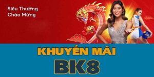 Nhà cái BK8 – Đẳng cấp nhà cái cá cược số 1 Việt Nam